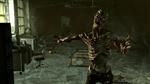 Fallout 3 Skeleton