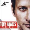 tony-hawks-project-8